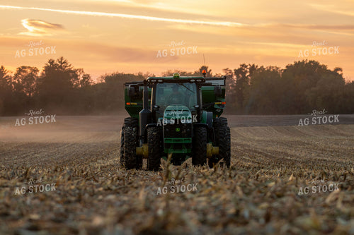Corn Harvest 157023