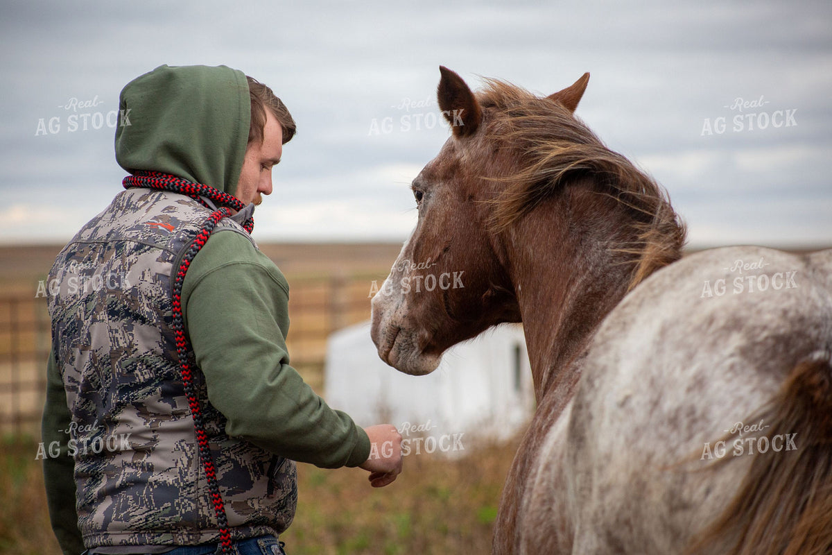 Young Male Rancher Bonding with Red Roan Horse on Overcast Day 406046