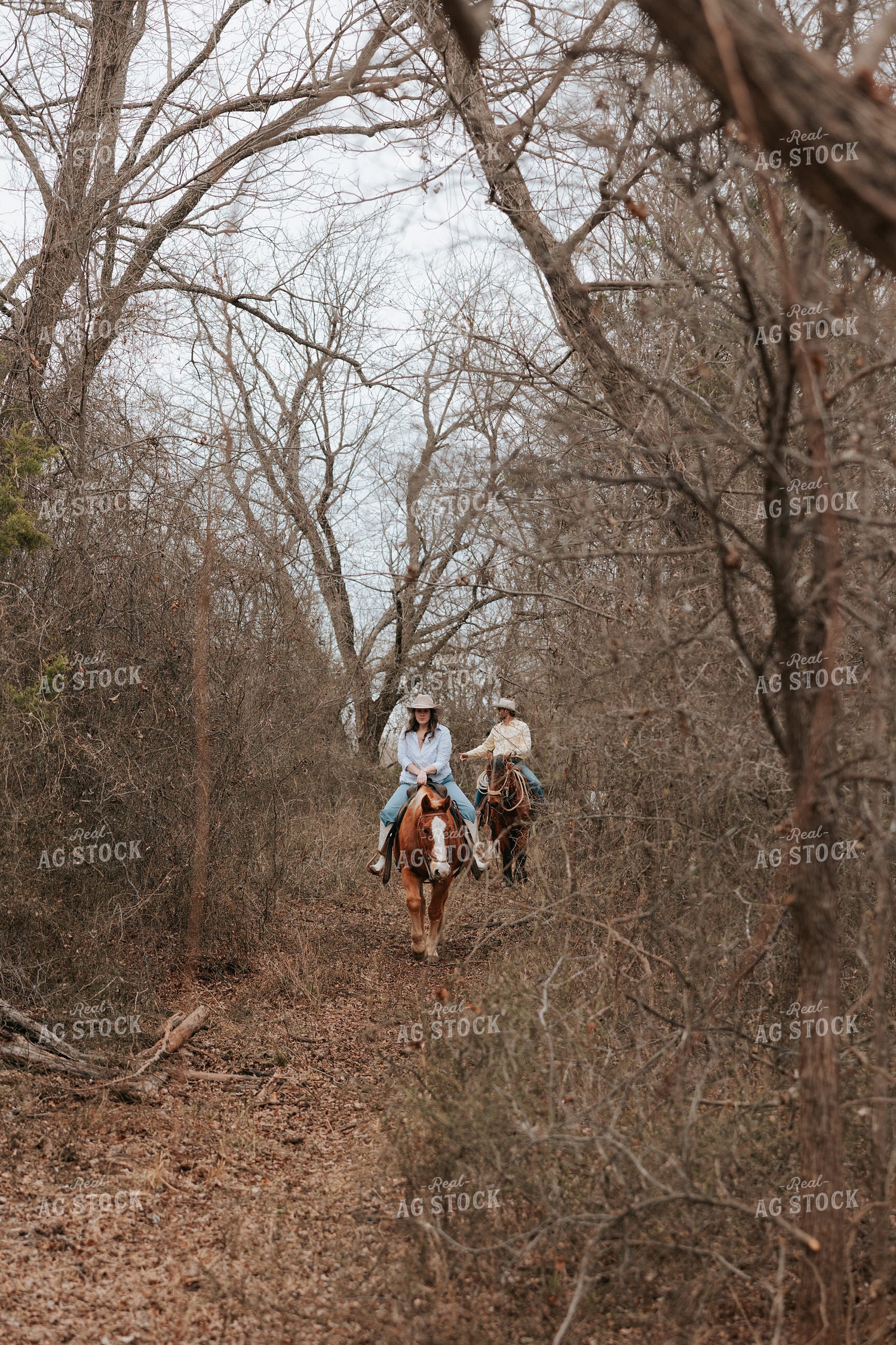Trail Ride 205140
