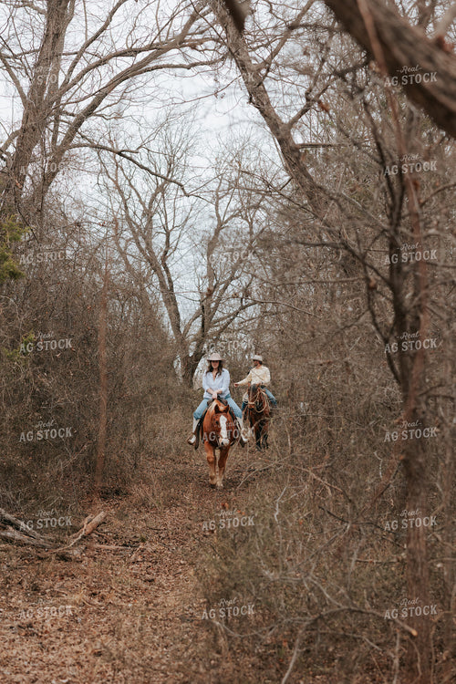 Trail Ride 205140