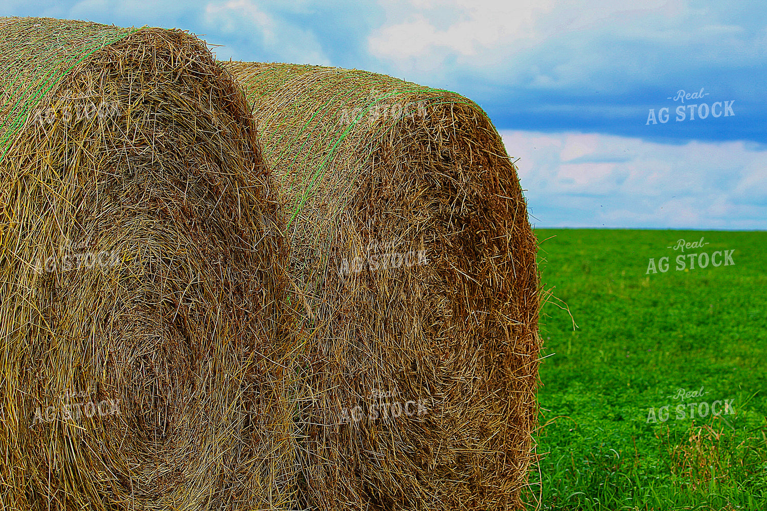 Hay Bales 141574