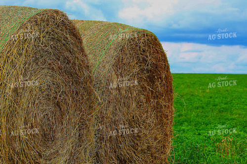 Hay Bales 141574