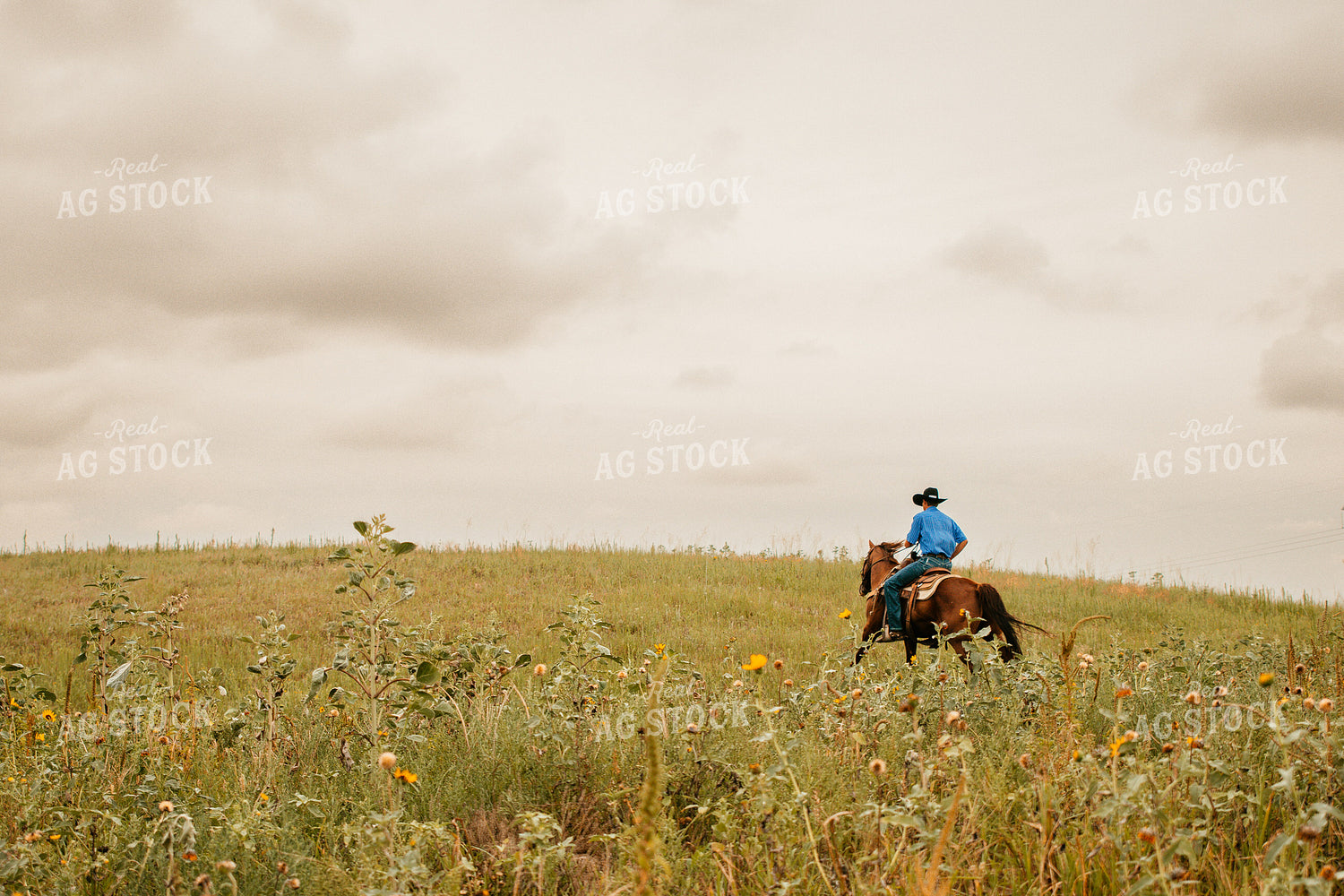 Rancher on Horseback 223018