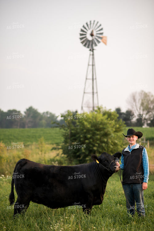 Farm Kid with Show Cow 76732