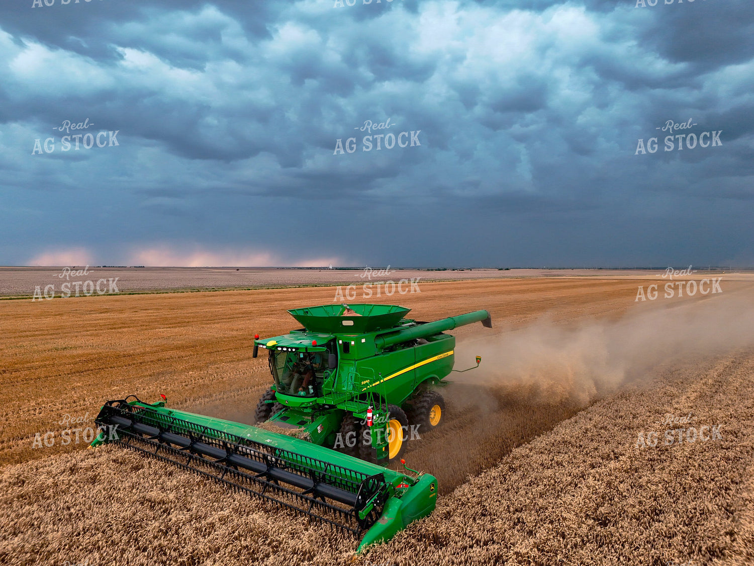 Harvesting Wheat 239599
