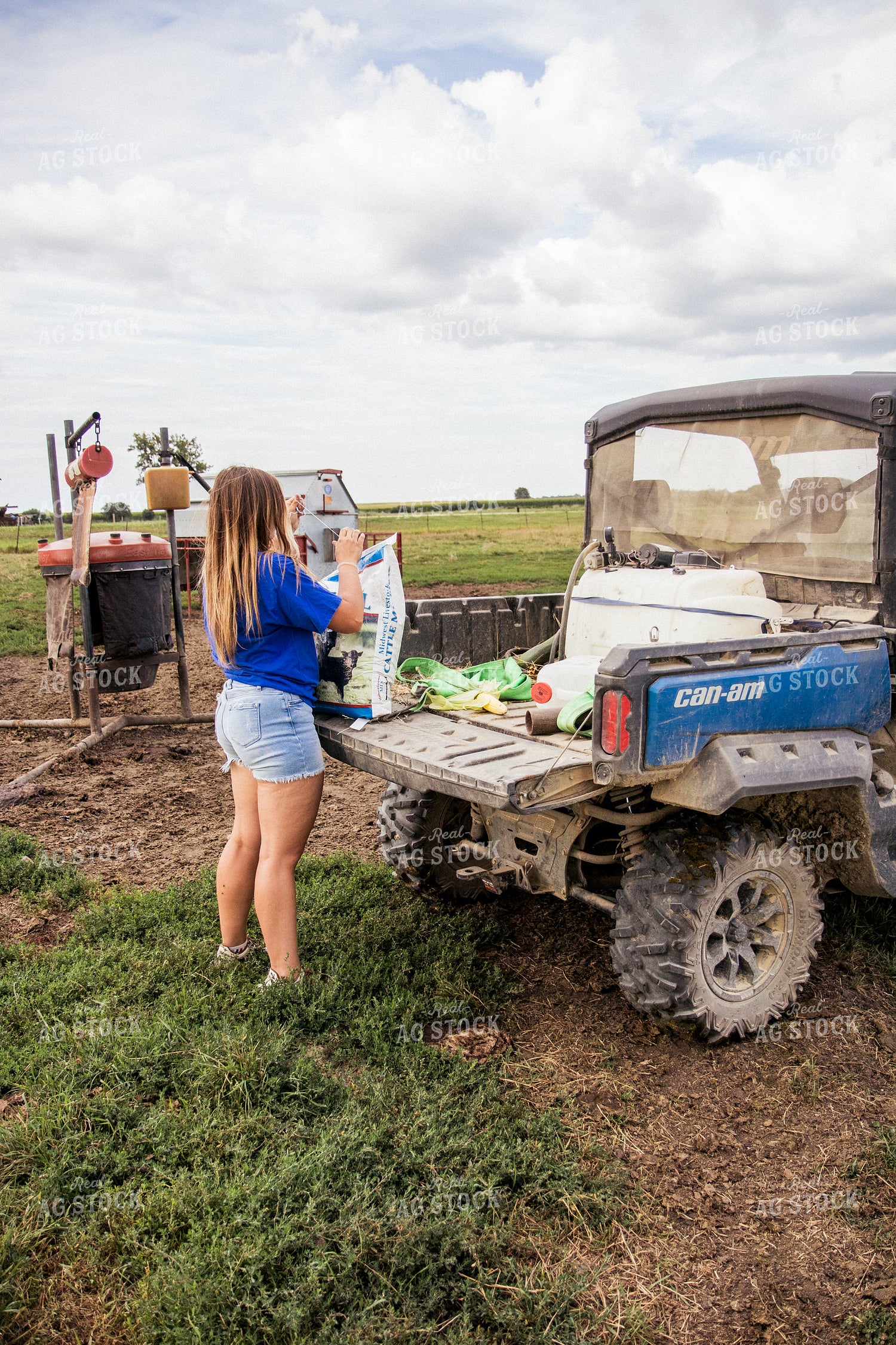 Farmer Feeding Cattle 67467