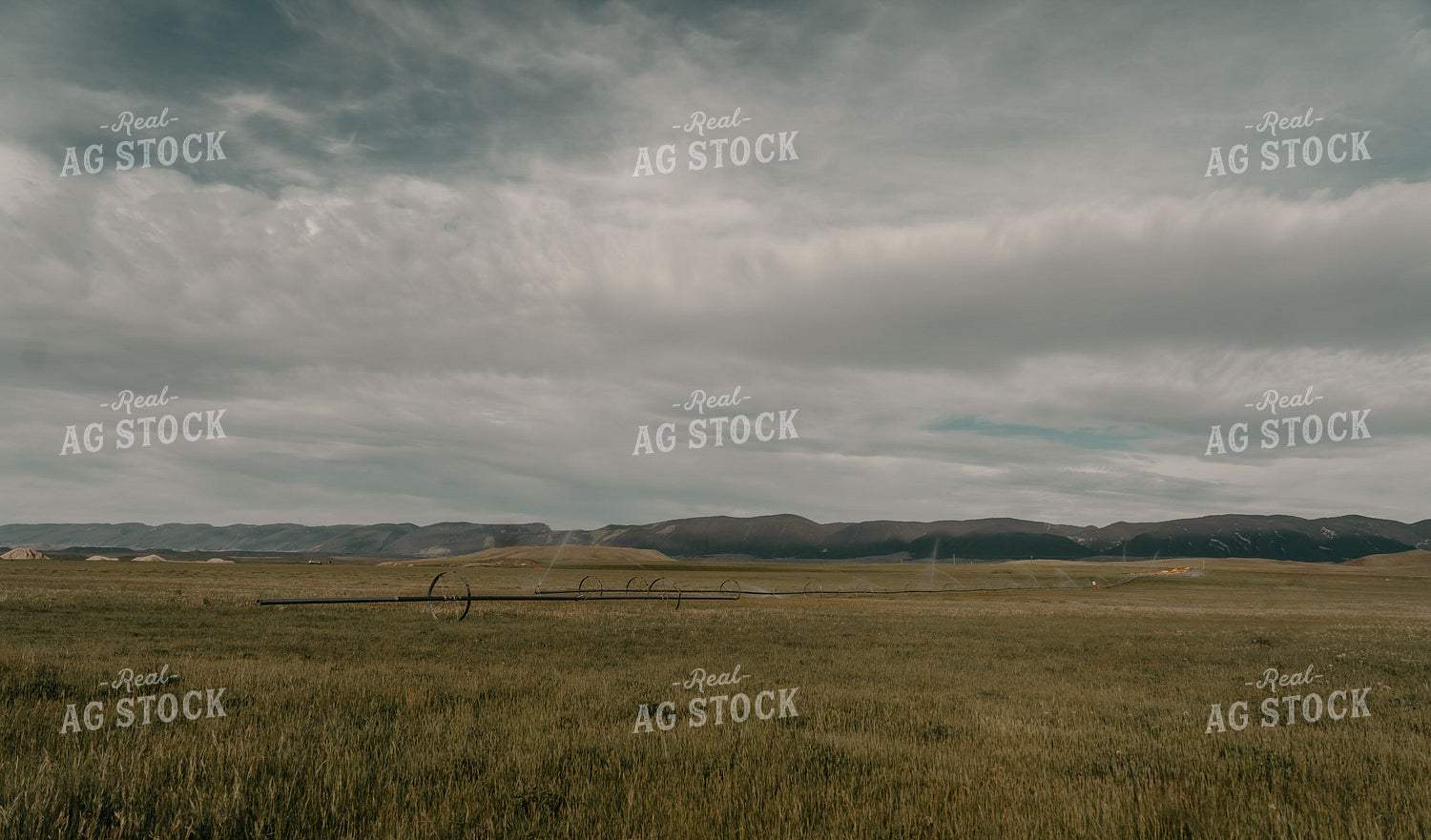 Scenic Pasture 58215