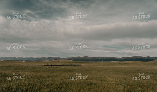 Scenic Pasture 58215