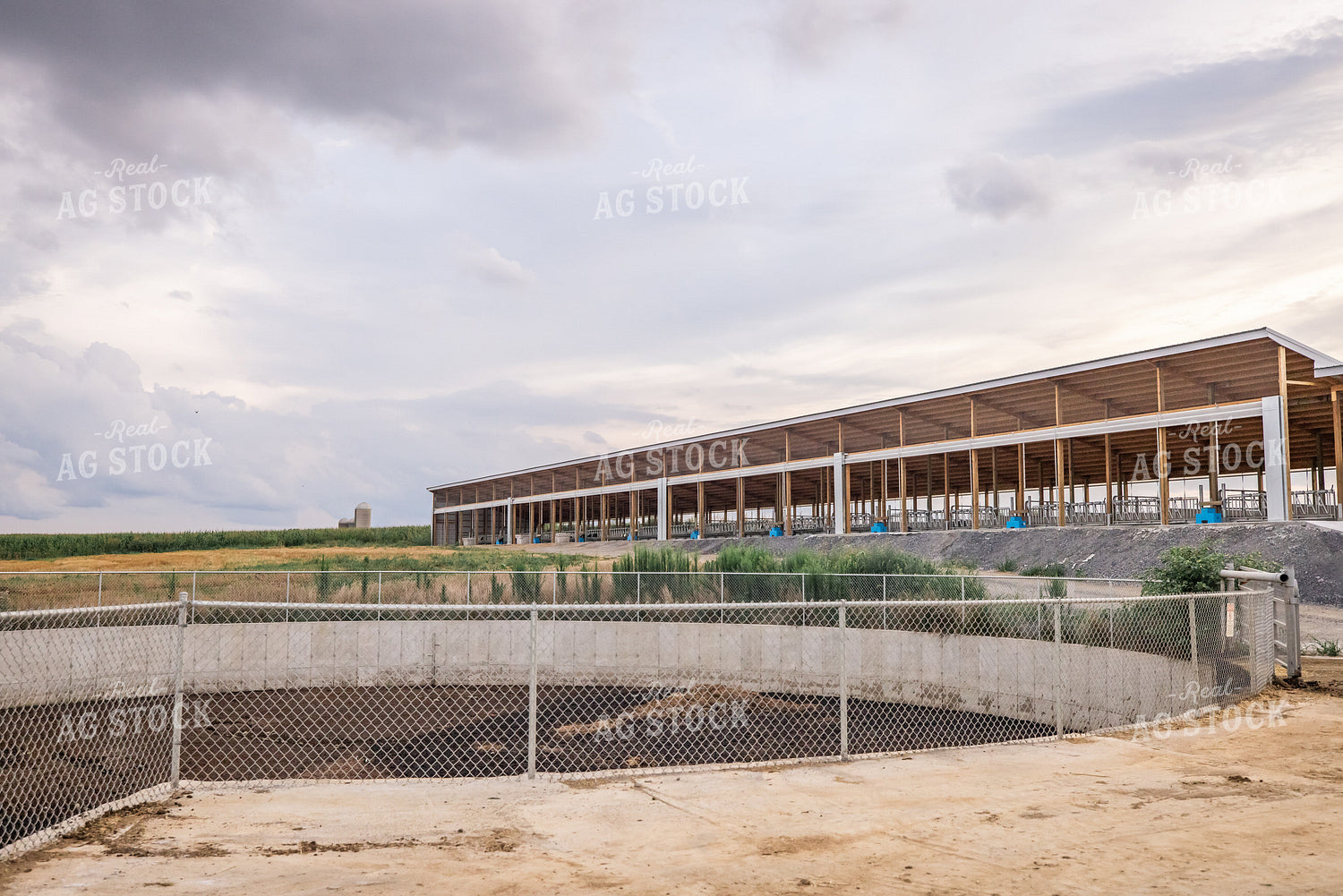 New Construction Freestall Barn 270178