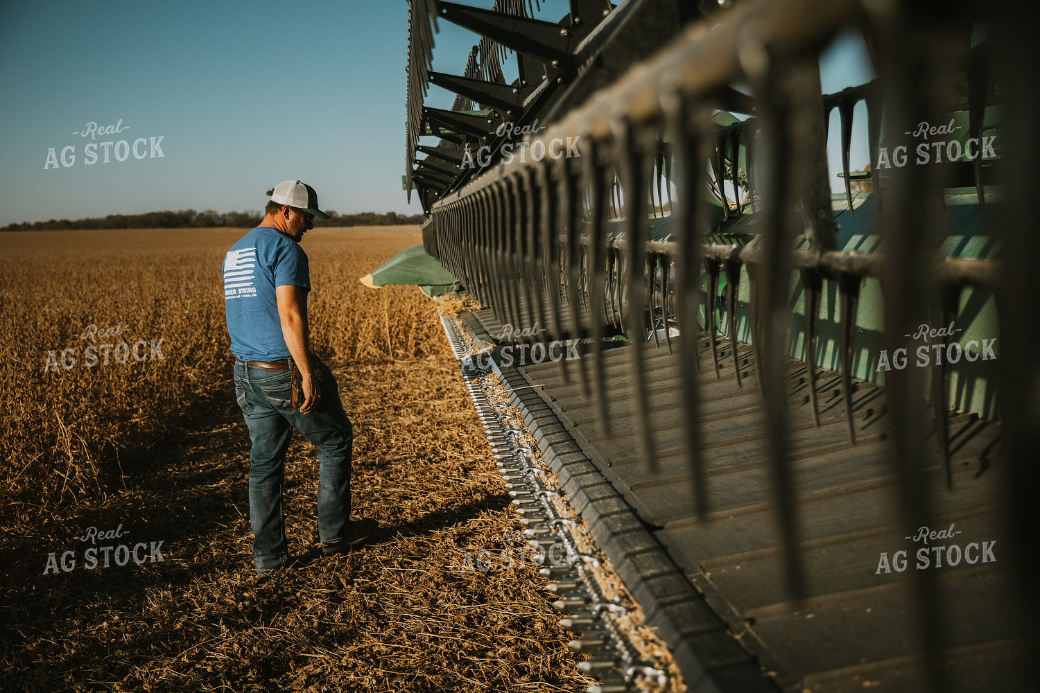 Farmer Inspecting Combine Head 7124
