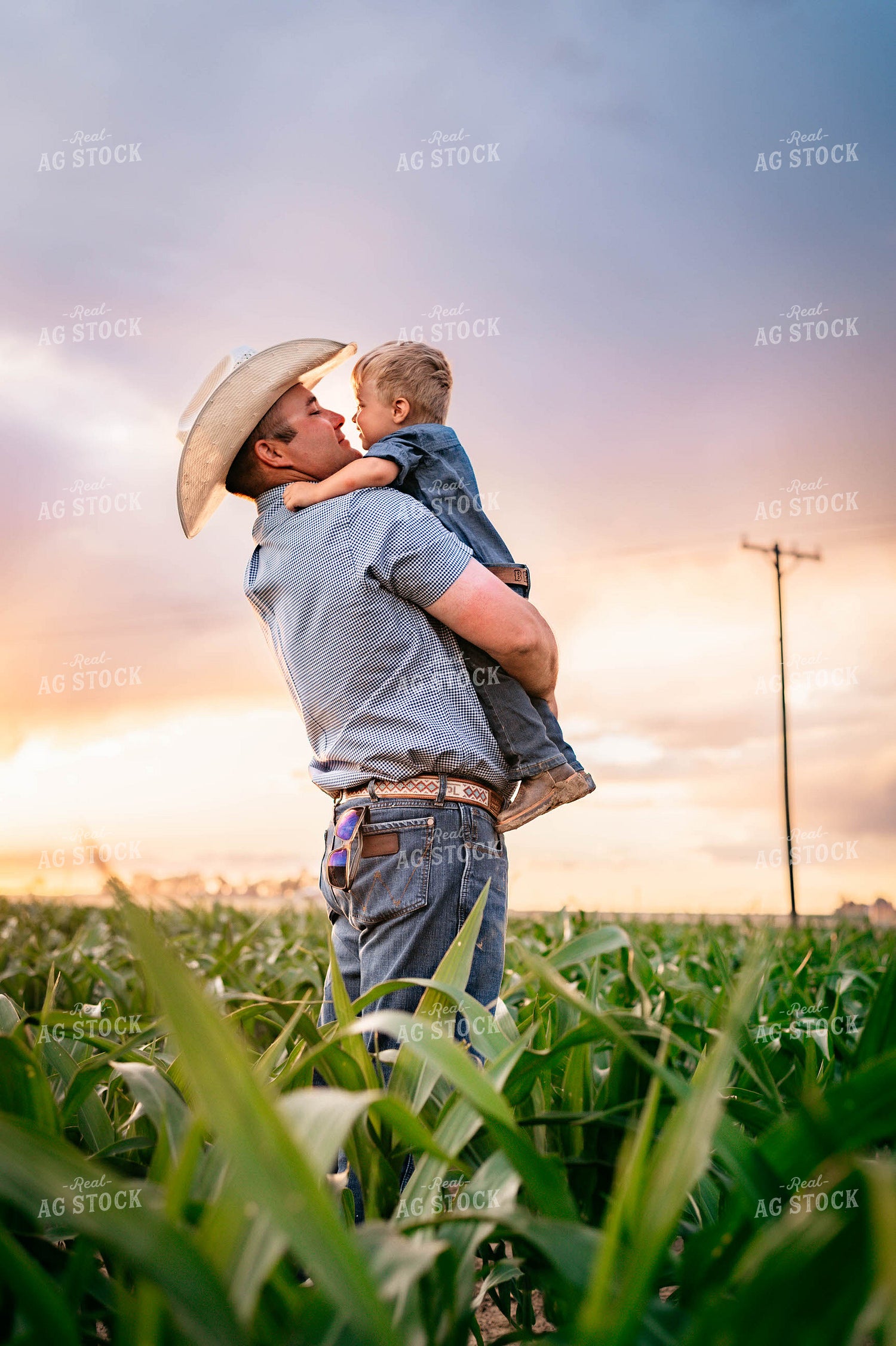 Rancher and Son in Cornfield 218047