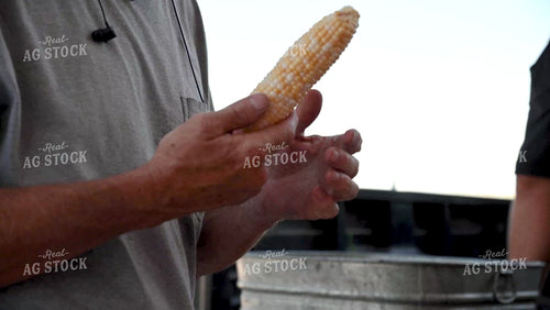 Family Shucking Sweet Corn - 244