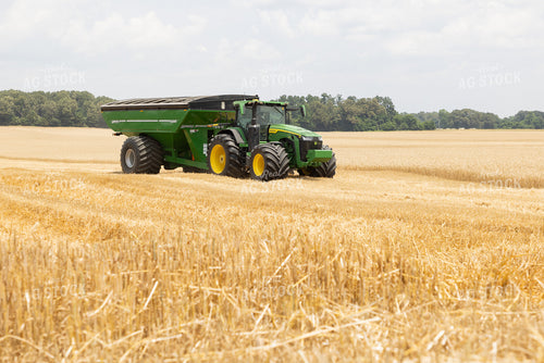 Wheat Harvest 79811