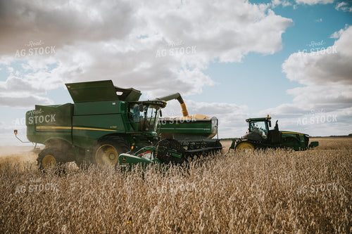 Soybean Harvest 6881