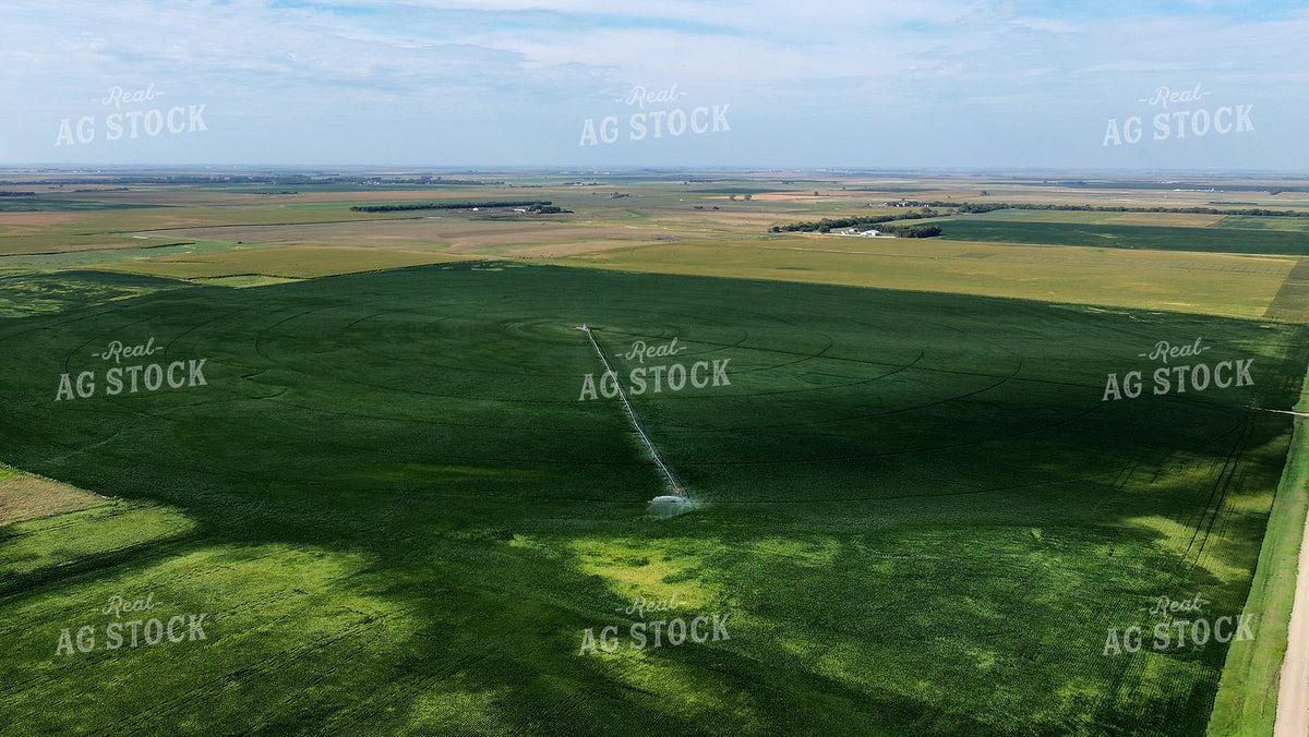 Aerial of Center Pivot Irrigation System 141746