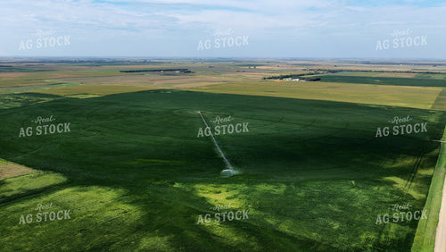 Aerial of Center Pivot Irrigation System 141746