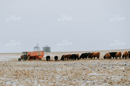 feed mixer Dispensing Feed 77178