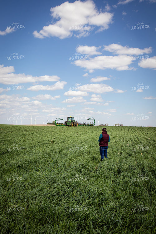 Planting into Cover Crops 67690