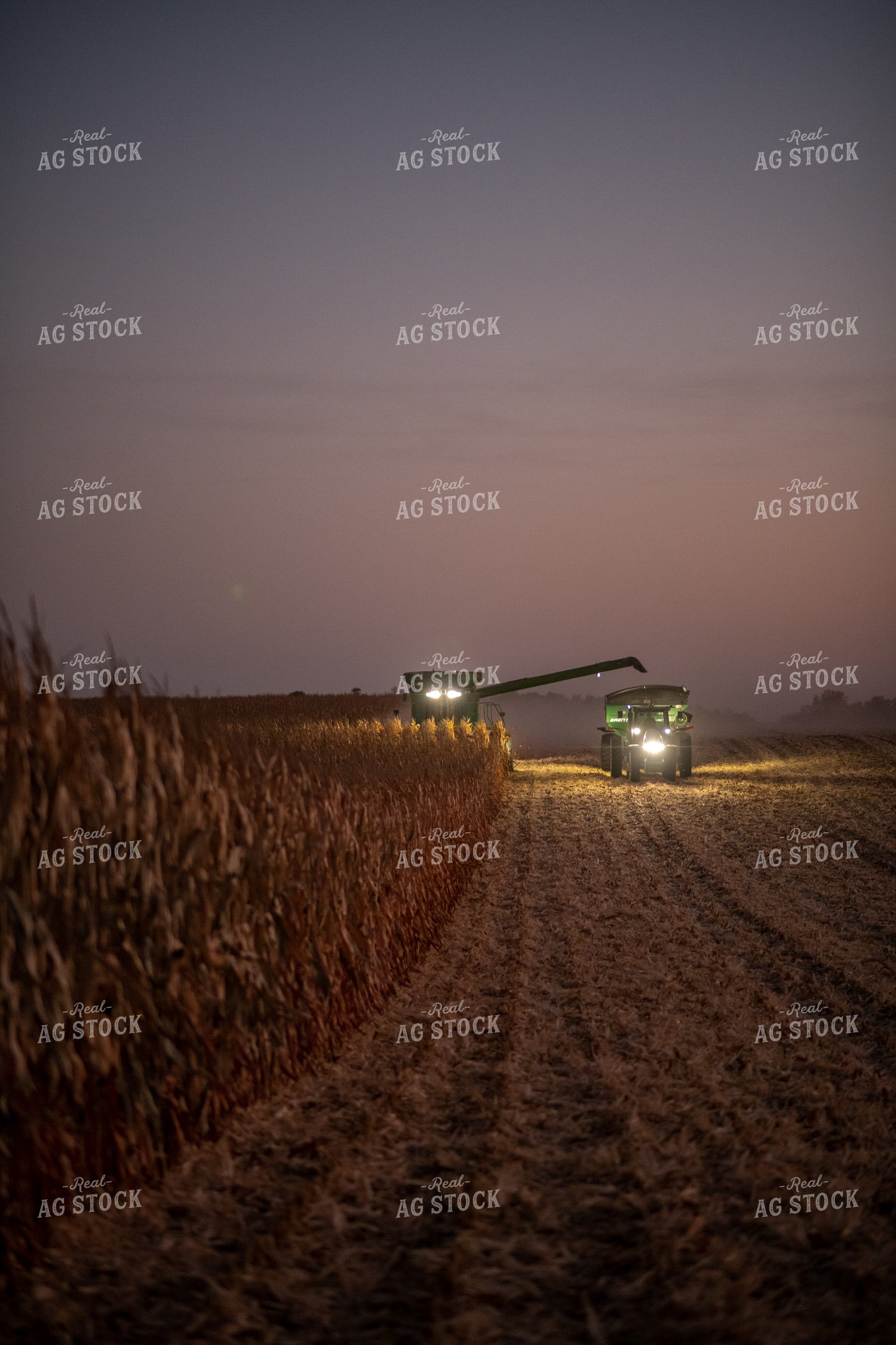 Corn Harvest at Dusk 76345