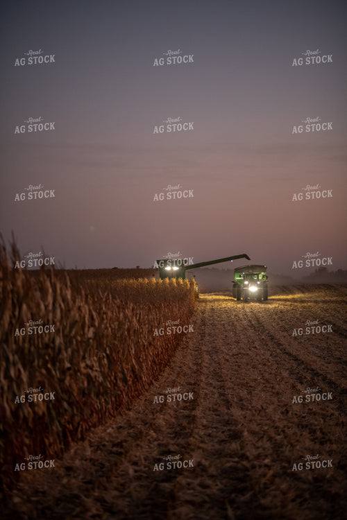 Corn Harvest at Dusk 76345