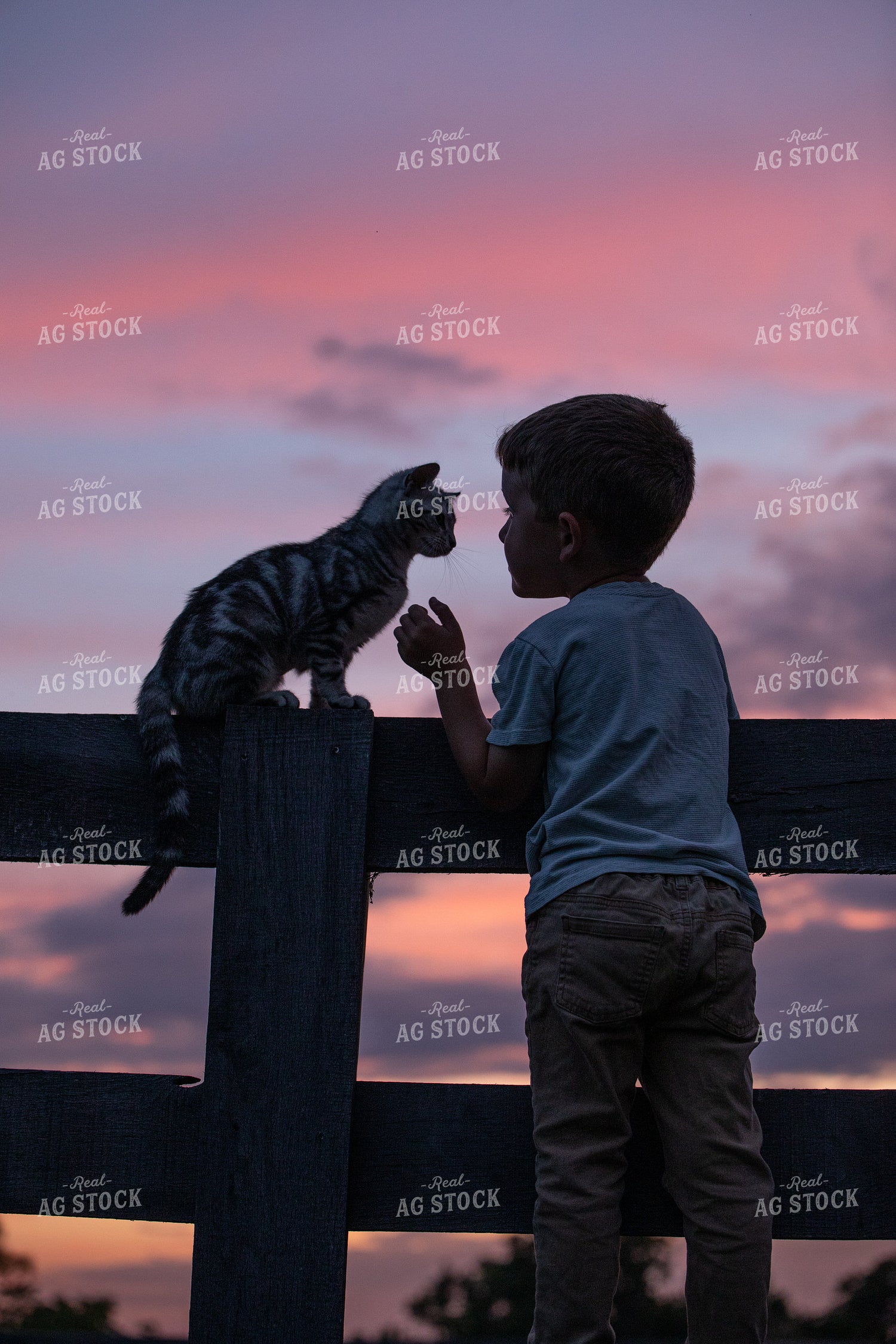Farm Kid with Cat 189008