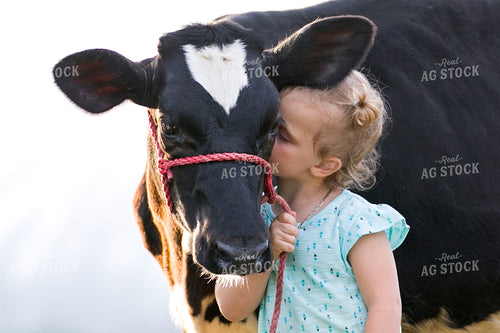 Black Baldy Cow with Farm Kid 55144