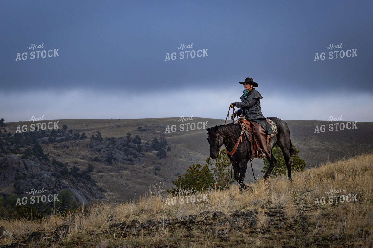 Cowgirl on Horseback 290033