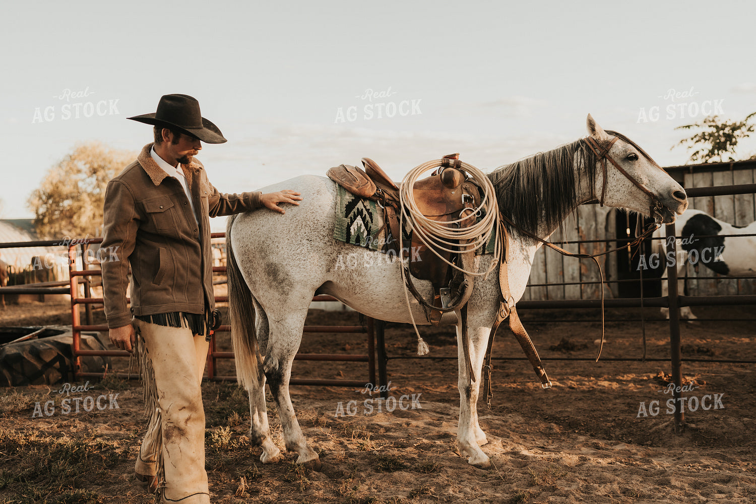 Cowboy Saddling Horse 61178
