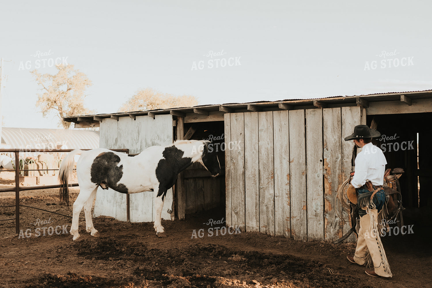 Cowboy Carrying Saddle 61173