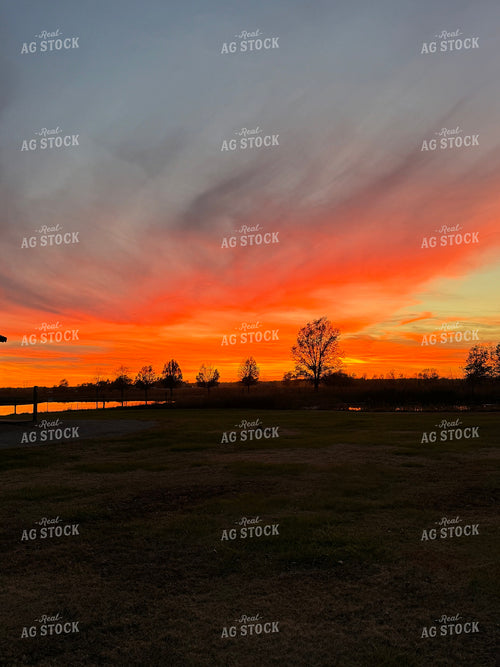 Scenic Pasture 228006