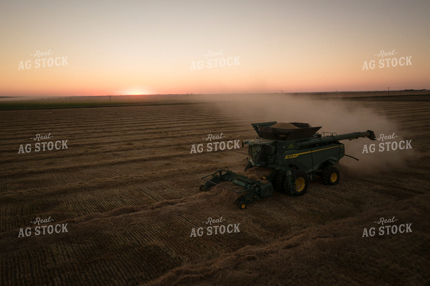 Harvesting Wheat Swaths 135050