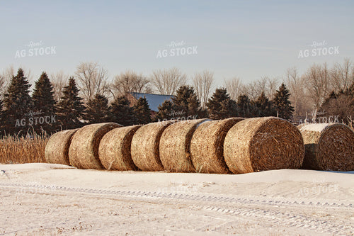 Corn Stalk Bales 150027