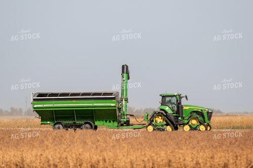 Soybean Harvest 185149