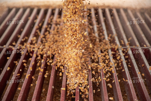 Corn Dumping into Grain Pit 76600