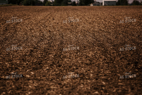 Planting 2755