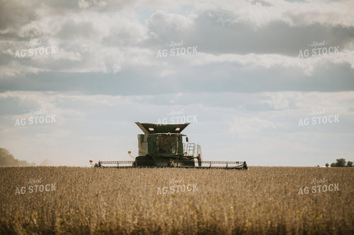 Soybean Harvest 6908