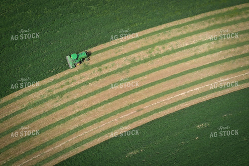 Cutting Alfalfa Hay 56020