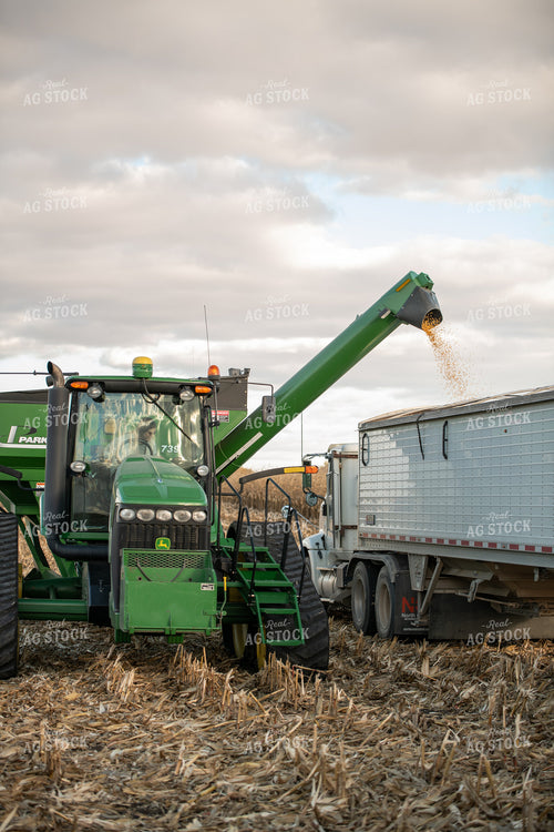 Corn Harvest 76555