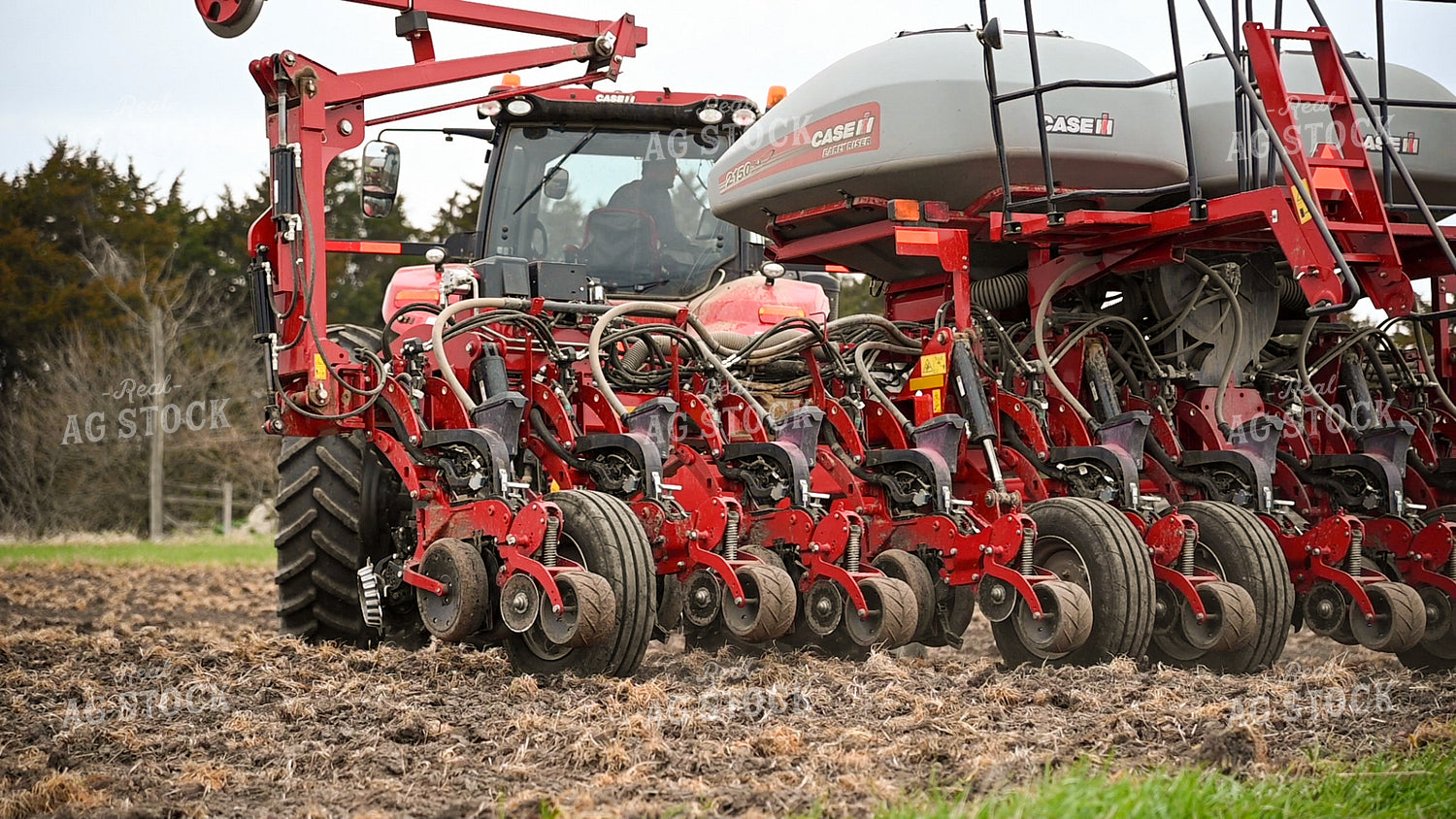 Planting into Tilled Cover Crops 25173