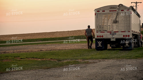 Farmer Working at Grain Bin Site during Harvest 25770