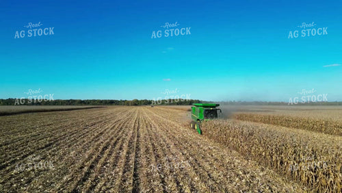 Corn Harvest 115185