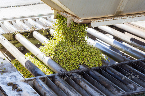 Harvest 276006