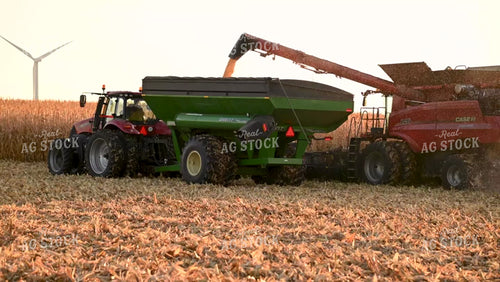 Combine Unloading Corn into an Auger Wagon - 558