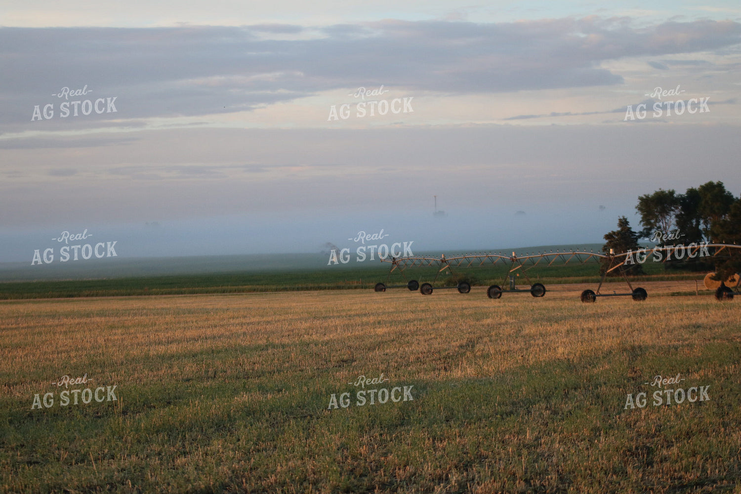 Irrigation System 82005