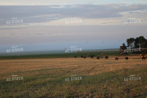 Irrigation System 82005