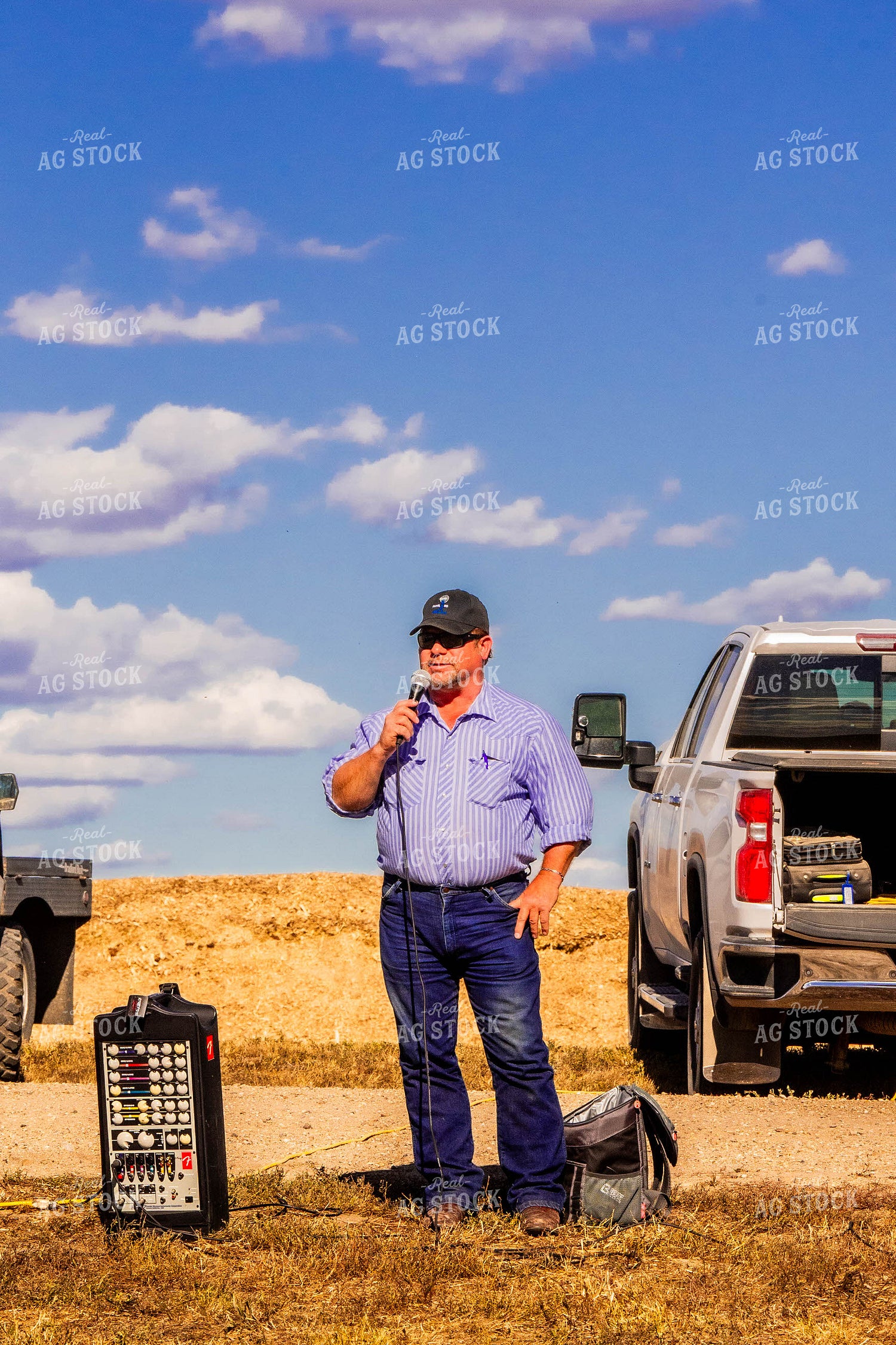 Auctioneer at Sale 299060