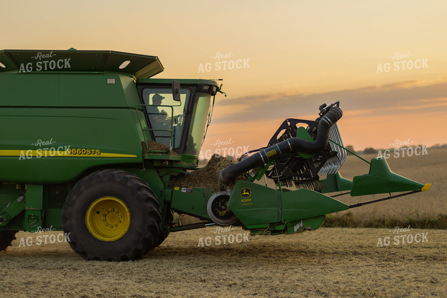 Soybean Harvest 93354