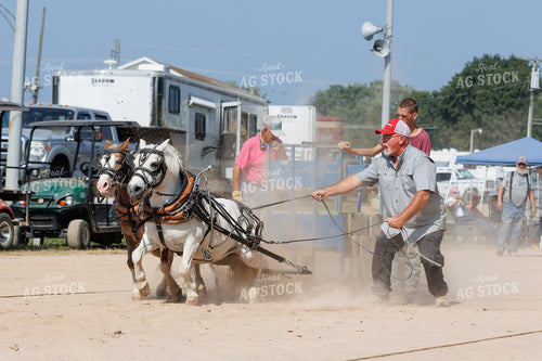 Horse Pulling 52900