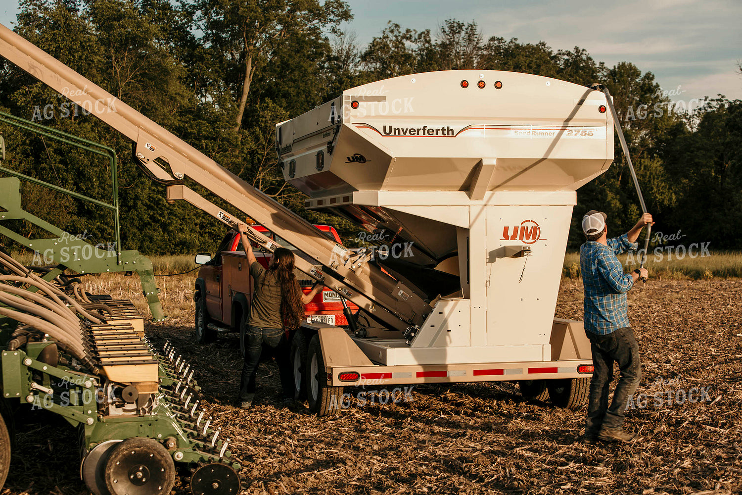 Planting 2803