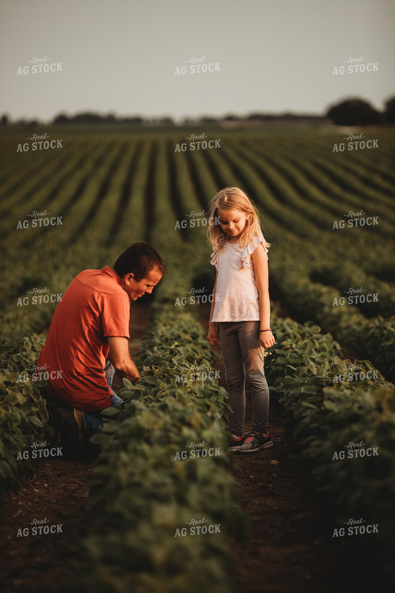 Farmer and Farm Kid Checking Crops in Soybean Field 4581